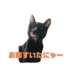 僕、ぎん太君です（個別スタンプ：7）