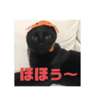 僕、ぎん太君です（個別スタンプ：21）