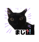 僕、ぎん太君です（個別スタンプ：25）