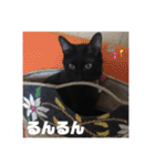 僕、ぎん太君です（個別スタンプ：26）