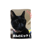 僕、ぎん太君です（個別スタンプ：30）