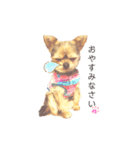 ヨーキー x チワワ（個別スタンプ：4）