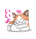 プレアデス館 ねこスタンプ40（個別スタンプ：13）