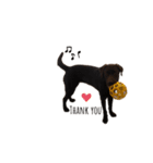 チョコラブあずき❤︎（個別スタンプ：8）