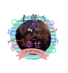 村竹スタンプ（個別スタンプ：1）