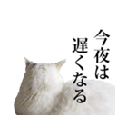 短足猫スワ先輩の日常（個別スタンプ：25）