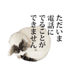 短足猫スワ先輩の日常（個別スタンプ：28）