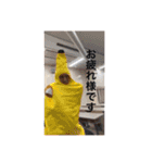 みながわ（個別スタンプ：10）
