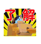 三毛猫クッキー【日常】（個別スタンプ：4）