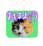 三毛猫クッキー【日常】（個別スタンプ：6）
