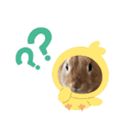 うさぎのモカちゃんスタンプpart5（個別スタンプ：18）
