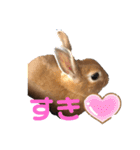 うさぎのモカちゃんスタンプpart5（個別スタンプ：23）