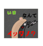 ネコくんとクマさん（個別スタンプ：19）