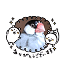 プリティー♡スーちゃんとルル♡（個別スタンプ：3）
