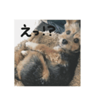リッツとオレオ①（個別スタンプ：8）