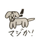 ザ・犬。（個別スタンプ：29）