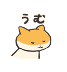 しばねこのあいづち（個別スタンプ：1）