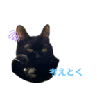黒猫_1（個別スタンプ：2）