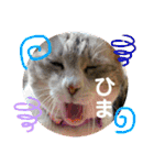 安岡家の動物たち②（個別スタンプ：3）