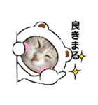 安岡家の動物たち②（個別スタンプ：15）