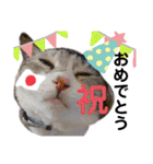 安岡家の動物たち②（個別スタンプ：33）