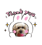 かわいいルナ（個別スタンプ：3）