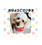 かわいいルナ（個別スタンプ：4）