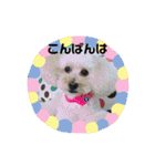 かわいいルナ（個別スタンプ：6）