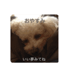 かわいいルナ（個別スタンプ：7）