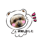 かわいいルナ（個別スタンプ：9）