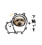 かわいいルナ（個別スタンプ：15）