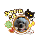 かわいいルナ（個別スタンプ：16）