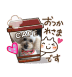 かわいいルナ（個別スタンプ：17）