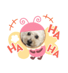 かわいいルナ（個別スタンプ：22）