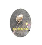かわいいルナ（個別スタンプ：23）