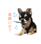 ココとルゥ③（個別スタンプ：9）