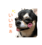 ココとルゥ③（個別スタンプ：14）