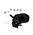 黒猫のココ（個別スタンプ：7）