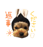 T/SLVB（個別スタンプ：14）