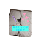 コロジチャ物語（個別スタンプ：2）