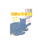 コロジチャ物語（個別スタンプ：11）