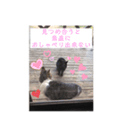 コロジチャ物語（個別スタンプ：12）