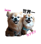 キキたんず17(くぅとねねも一緒)（個別スタンプ：11）