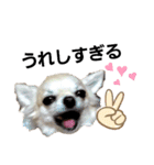 キキたんず18(くぅと一緒だよ)（個別スタンプ：4）