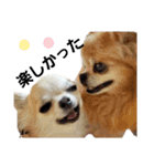 キキたんず18(くぅと一緒だよ)（個別スタンプ：7）