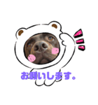 凸凹姉弟2（個別スタンプ：7）