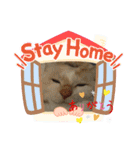 ミータ郎ファミリー自粛中（個別スタンプ：3）
