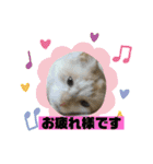 ミータ郎ファミリー自粛中（個別スタンプ：19）