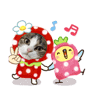 ミータ郎ファミリー自粛中（個別スタンプ：20）