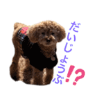 アポロちゃん2（個別スタンプ：4）